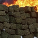Colocan a un pueblo entero al quemar un alijo de cannabis